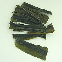 alga