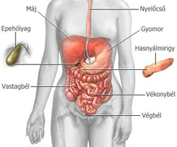 gyomorrák