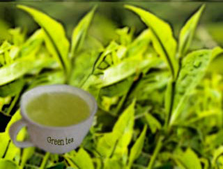 zöld tea