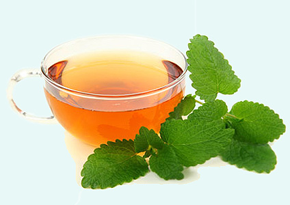 citromfű tea