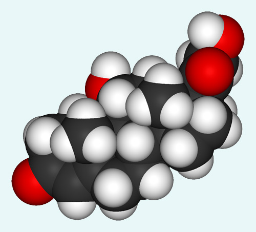 kortizol hormon