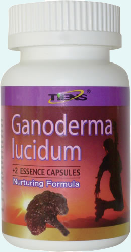 Ganoderma lucidum
