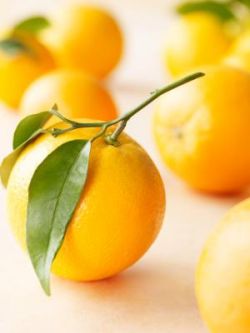 Citrus