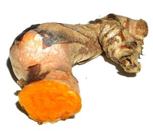 kurkuma gyökér