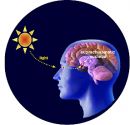 melatonin - 2-es típusú cukorbetegség