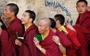 tibetiek gének